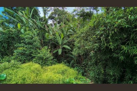 Casa de condomínio à venda com 180m², 3 quartos e sem vaga Casa de condomínio à venda com 180m², 3 quartos e sem vagaQuintal