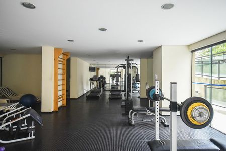 Apartamento à venda com 330m², 4 quartos e 5 vagas Apartamento à venda com 330m², 4 quartos e 5 vagasAcademia