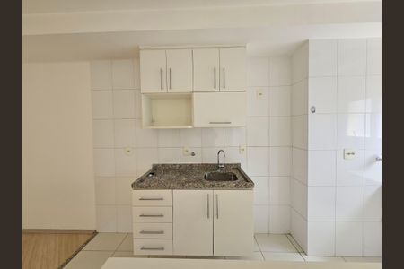 Apartamento para alugar com 38m², 1 quarto e 1 vagaCozinha - Armários