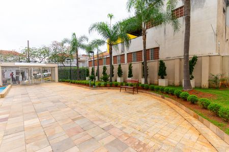 Apartamento para alugar com 70m², 3 quartos e 2 vagas Apartamento para alugar com 70m², 3 quartos e 2 vagasÁrea comum