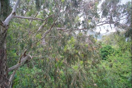 Quarto 1 - Vista de apartamento à venda com 2 quartos, 43m² em Mário Quintana, Porto Alegre