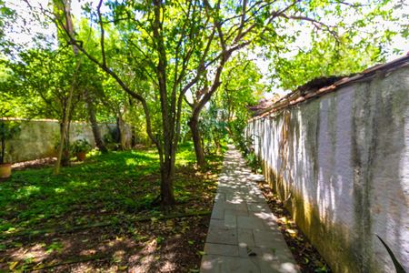 Casa para alugar com 100m², 3 quartos e 5 vagas Casa para alugar com 100m², 3 quartos e 5 vagasQuintal