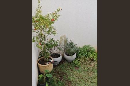 Apartamento à venda com 1 quarto, 59m² em Vila Independencia, São Paulo