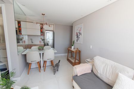 Sala de apartamento à venda com 2 quartos, 41m² em Cambuci, São Paulo