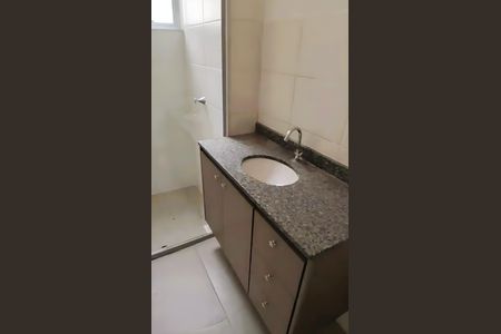 Banheiro Social de apartamento para alugar com 2 quartos, 48m² em Palmeiras, Belo Horizonte