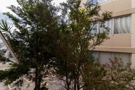 Sala - Vista de apartamento para alugar com 2 quartos, 58m² em Lauzane Paulista, São Paulo