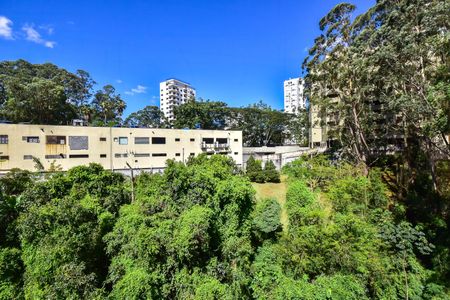 Vista de kitnet/studio para alugar com 1 quarto, 35m² em Jardim Ampliacao, São Paulo
