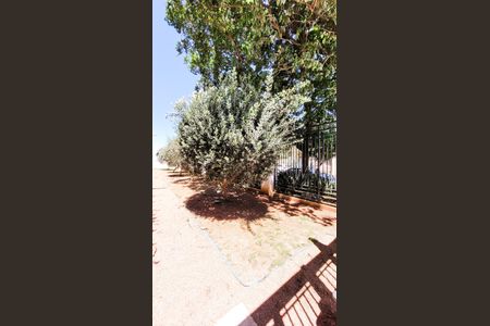 Apartamento à venda com 84m², 3 quartos e 2 vagasÁrea comum