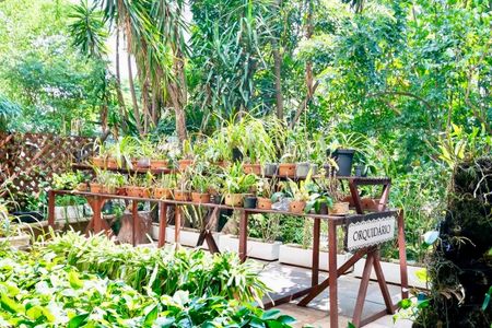 Apartamento à venda com 154m², 4 quartos e 1 vagaOrquidário 