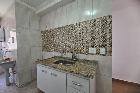 Cozinha de apartamento para alugar com 2 quartos, 48m² em Jardim Vila Formosa, São Paulo