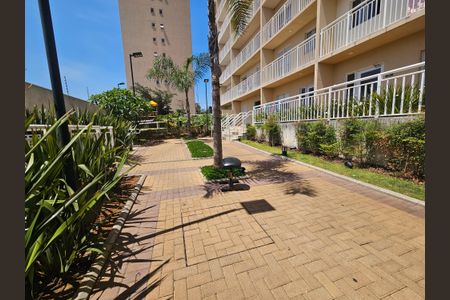 Studio para alugar com 28m², 1 quarto e sem vaga Studio para alugar com 28m², 1 quarto e sem vagaÁrea comum