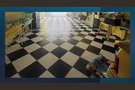 Casa à venda com 209m², 2 quartos e 6 vagas Casa à venda com 209m², 2 quartos e 6 vagasFoto 03