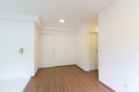 Sala de apartamento para alugar com 2 quartos, 47m² em Vila Carmosina, São Paulo
