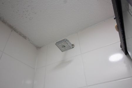 Apartamento para alugar com 43m², 2 quartos e 1 vaga Apartamento para alugar com 43m², 2 quartos e 1 vagaBanheiro