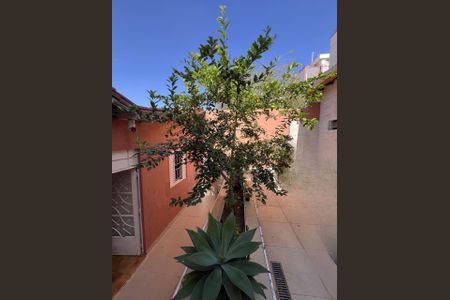 Casa à venda com 209m², 4 quartos e 2 vagasFoto 18