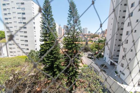 Varanda Sala de apartamento para alugar com 2 quartos, 65m² em Vila Mariana, São Paulo