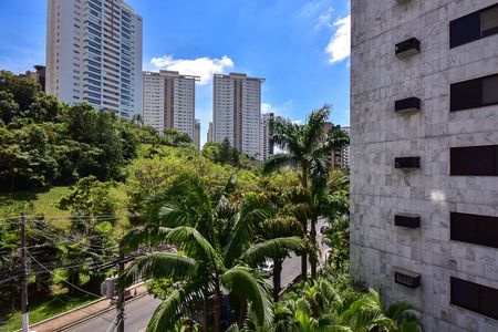 Vista de apartamento para alugar com 1 quarto, 31m² em Vila Andrade, São Paulo