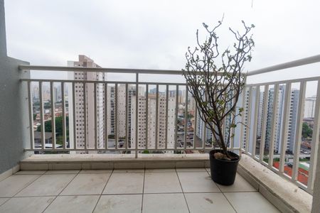 Varanda da Sala de apartamento para alugar com 3 quartos, 70m² em Maranhão, São Paulo