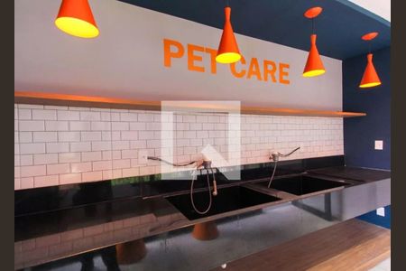 Apartamento para alugar com 35m², 2 quartos e sem vaga Apartamento para alugar com 35m², 2 quartos e sem vagaÁrea comum - Pet Care