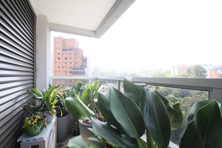 Apartamento à venda com 217m², 3 quartos e 3 vagasSacada Suíte