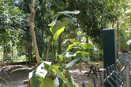 Apartamento à venda com 62m², 2 quartos e 1 vagaÁrea comum