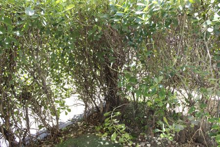 Varanda da Sala de apartamento à venda com 2 quartos, 62m² em Jacarepaguá, Rio de Janeiro