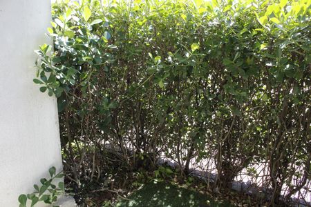 Varanda da Sala de apartamento à venda com 2 quartos, 62m² em Jacarepaguá, Rio de Janeiro