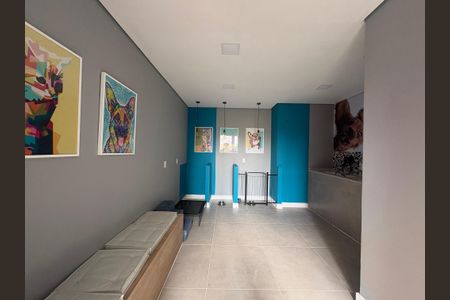 Apartamento para alugar com 37m², 1 quarto e sem vaga Apartamento para alugar com 37m², 1 quarto e sem vagaDog wash