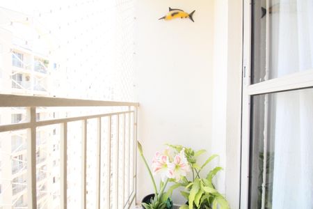 Apartamento à venda com 2 quartos, 67m² em Jardim Vazani, São Paulo