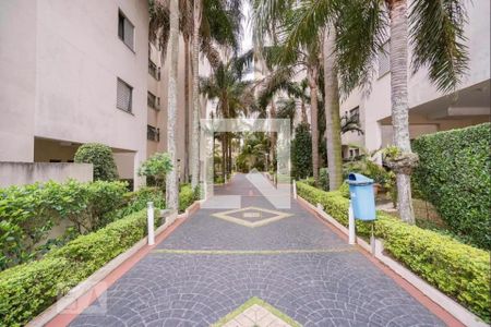 Apartamento à venda com 64m², 3 quartos e 1 vaga Apartamento à venda com 64m², 3 quartos e 1 vagaJardim