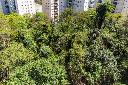 Apartamento para alugar com 73m², 3 quartos e 1 vaga Apartamento para alugar com 73m², 3 quartos e 1 vagaVista da Varanda da Sala