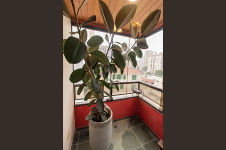 Apartamento para alugar com 111m², 3 quartos e 3 vagasVaranda da suíte