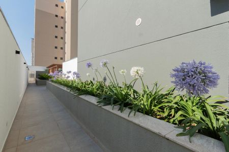 Studio para alugar com 37m², 1 quarto e 1 vaga Studio para alugar com 37m², 1 quarto e 1 vagaÁrea comum