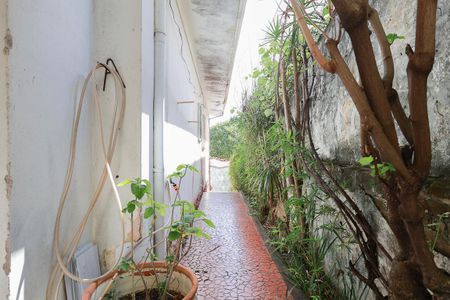 Casa para alugar com 399m², 3 quartos e 2 vagas Casa para alugar com 399m², 3 quartos e 2 vagasCorredor externo