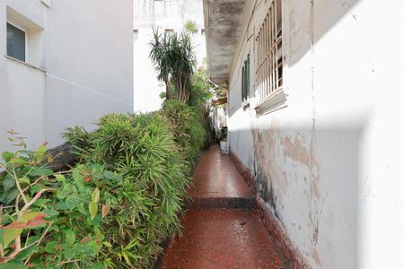 Casa para alugar com 399m², 3 quartos e 2 vagas Casa para alugar com 399m², 3 quartos e 2 vagasCorredor externo