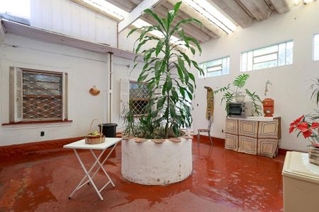 Casa para alugar com 399m², 3 quartos e 2 vagas Casa para alugar com 399m², 3 quartos e 2 vagasQuintal