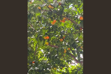 Apartamento à venda com 49m², 2 quartos e 1 vaga Apartamento à venda com 49m², 2 quartos e 1 vagaJardim