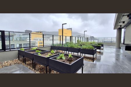 Apartamento para alugar com 61m², 2 quartos e 1 vaga Apartamento para alugar com 61m², 2 quartos e 1 vagaHorta