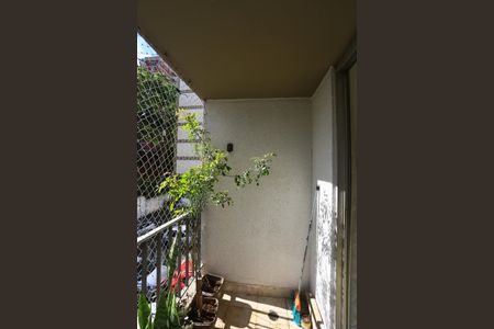 Varanda de apartamento à venda com 4 quartos, 92m² em Vila Sonia, São Paulo