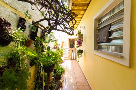 Casa à venda com 250m², 3 quartos e 4 vagasSala - Jardim