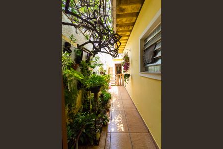 Casa à venda com 250m², 3 quartos e 4 vagasSala - Jardim