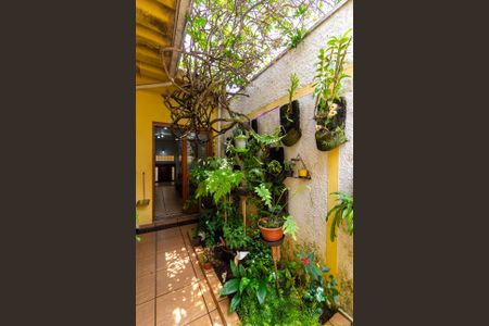 Casa à venda com 250m², 3 quartos e 4 vagasSala - Jardim