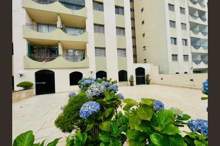 Apartamento para alugar com 75m², 2 quartos e 1 vaga Apartamento para alugar com 75m², 2 quartos e 1 vagaÁrea comum