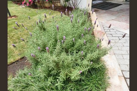 Apartamento à venda com 70m², 3 quartos e 1 vaga Apartamento à venda com 70m², 3 quartos e 1 vagaJardim