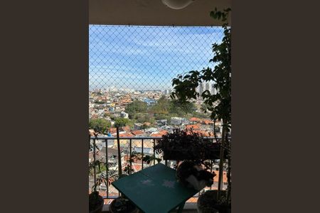 Apartamento à venda com 3 quartos, 96m² em Vila Sonia, São Paulo