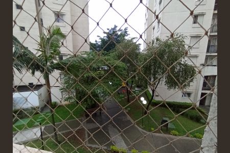 Apartamento à venda com 2 quartos, 50m² em Jardim Iris, São Paulo