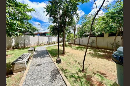Apartamento para alugar com 42m², 2 quartos e 1 vaga Apartamento para alugar com 42m², 2 quartos e 1 vagaPet care