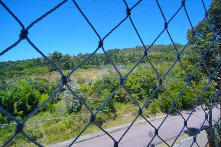 Vista do Quarto 2 de apartamento para alugar com 2 quartos, 45m² em Morro Santana, Porto Alegre