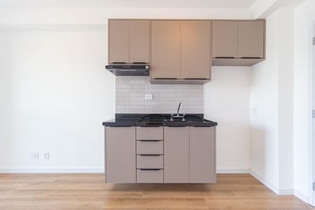 Apartamento para alugar com 31m², 1 quarto e sem vagaCozinha
