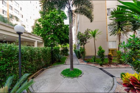 Apartamento para alugar com 42m², 2 quartos e 1 vaga Apartamento para alugar com 42m², 2 quartos e 1 vagaÁrea comum